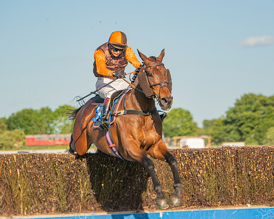 Race 2 - Nimrod Ladies Open (50 of 82)