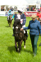 Pony Race - 1   17
