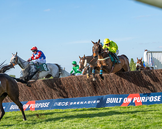 Race 3 - KTDA Hunters' Steeple Chase  (134 of 226)
