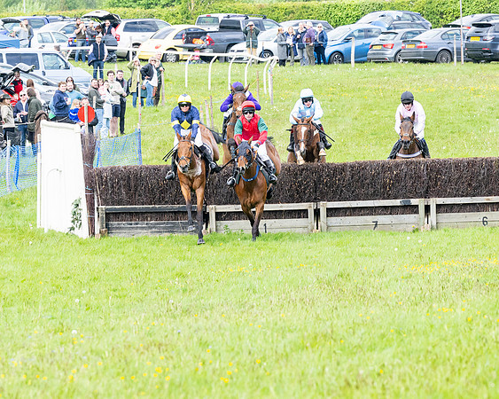 Race 2 - Veteran Horse (33 of 80)