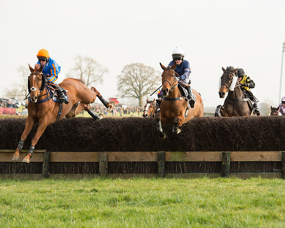 Race 6 - Open Maiden Race (49 of 99).jpg