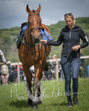 Race 2 - PPORA Members conditions race for Novice riders (12 of 127)