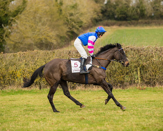 Race 2 - Open Maiden (2 of 128)