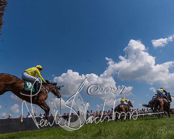 Race 2 - The Maiden  (185 of 442)