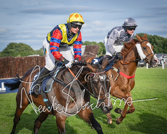 Race 3 - The pointtopoint.co.uk champion novices’ Hunter Chase (71 of 140)