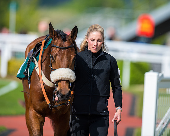 Race 1 - The open Hunter chase  (19 of 95)