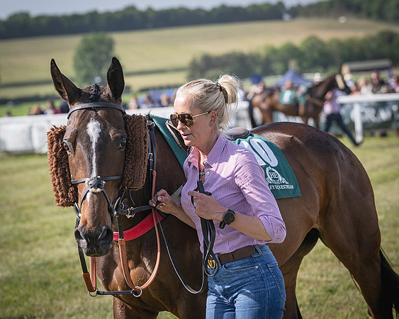 Race 5 - Restricted (4 of 116)