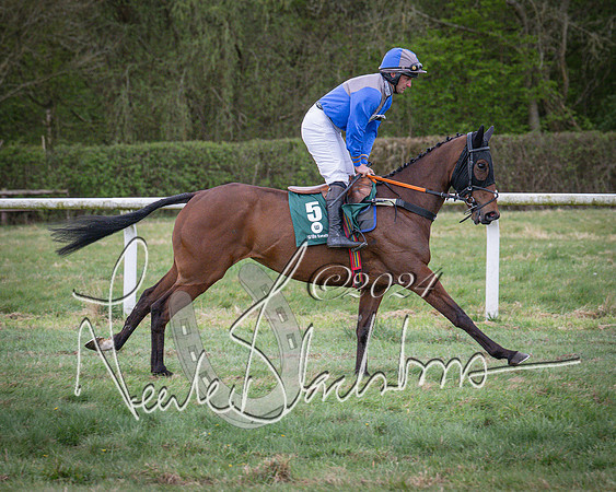 Race 7 - The Jockey Club maiden race for Mares and Fillies only (22 of 96)