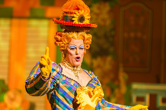 Swan Panto 2017