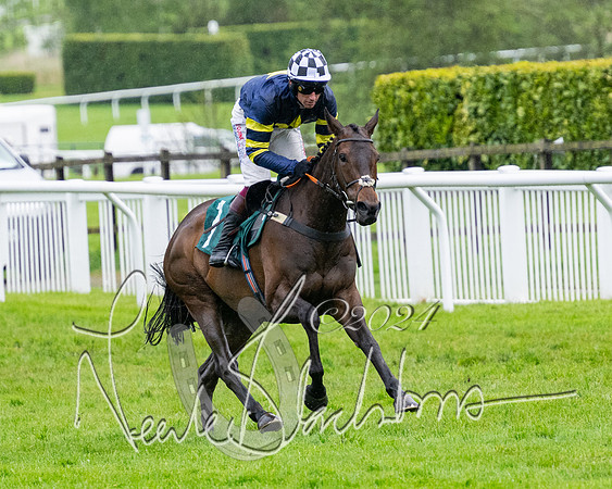 Race 5 - Mares Open  (48 of 129)