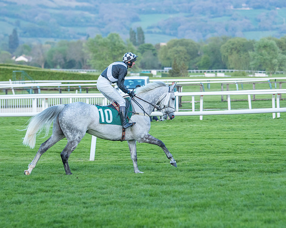 Race 7 - Glos Hussars  (80 of 245)