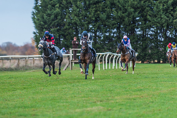 2 Mile 4 Furlong Maiden Race -26