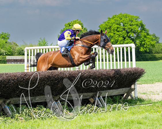 Race 2 - Restricted  (187 of 308)