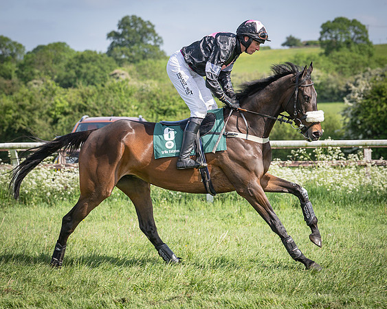 Race 5 - Restricted (41 of 116)