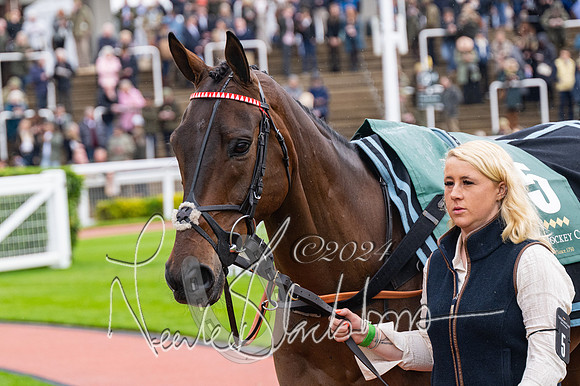 Race 3 - Junior jumpers (7 of 180)