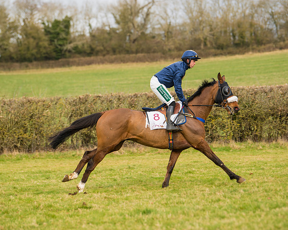 Race 2 - Open Maiden (47 of 128)