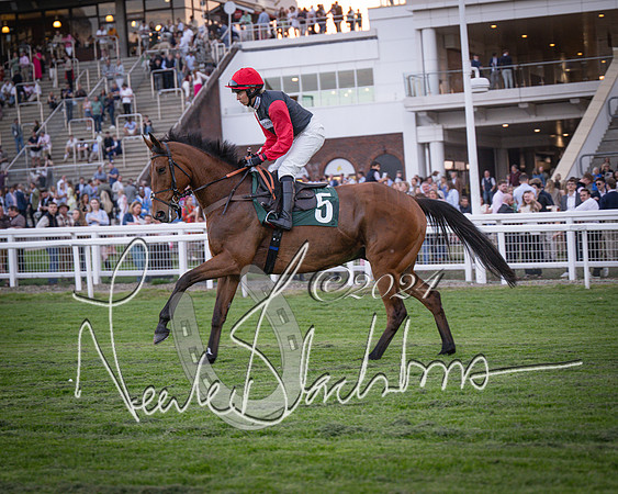 Race - 7 The Royal Gloucester Hussars Open Hunter's steeplechase 2m4f 127y (26 of 210)