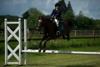 SOHS PC Summer Show at BCA 17th June 2012