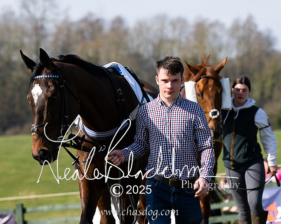 Race 1 - Maiden (25 of 188)