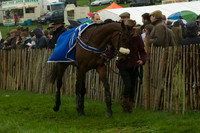 Race 5 - Restricted 3