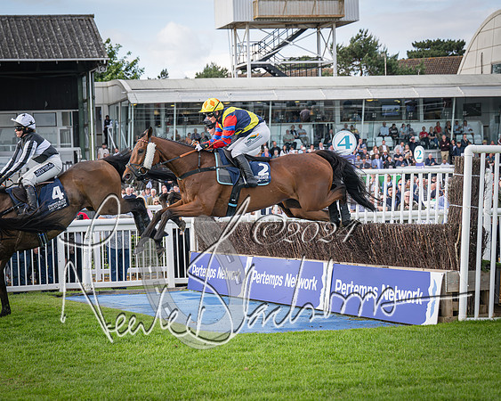 Race 2 - Olly Murphy Racing Stratford Ladies Open (79 of 111)