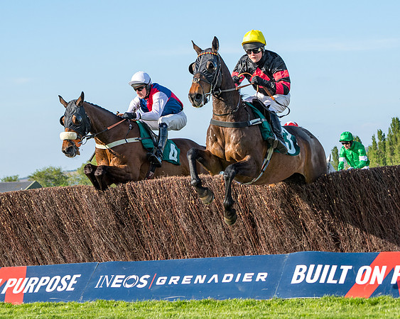 Race 3 - KTDA Hunters' Steeple Chase  (130 of 226)