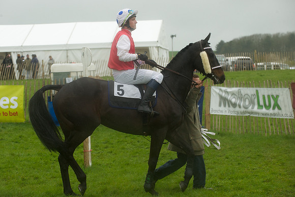 Race 5 - Restricted 7