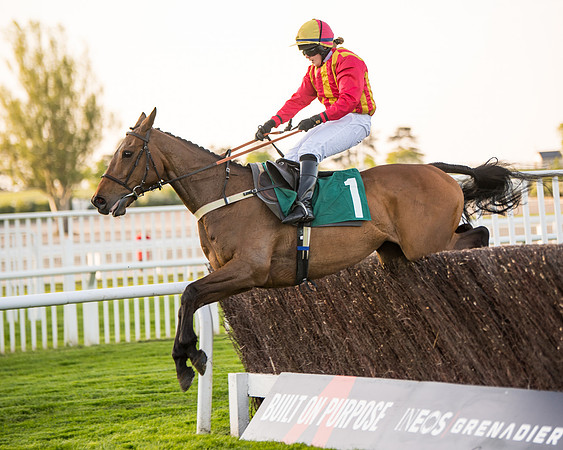 Race 5 - ITM Mares'  (80 of 181)