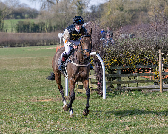 Pony Race 2 - 138cm (18 of 65)