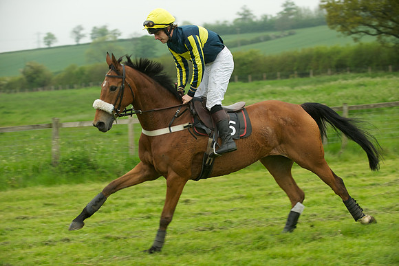 Race 2 - Novices 17