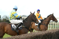 Southern Grand National  15