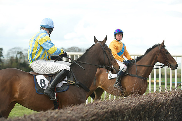 Southern Grand National  15
