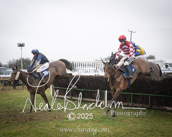 Race 6 - 2m4f Maiden (50 of 64)-Enhanced-NR