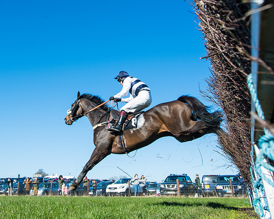 Race 4 - Ladies Open  (45 of 200)