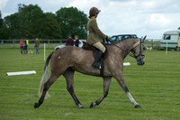 Jackson Dressage 5