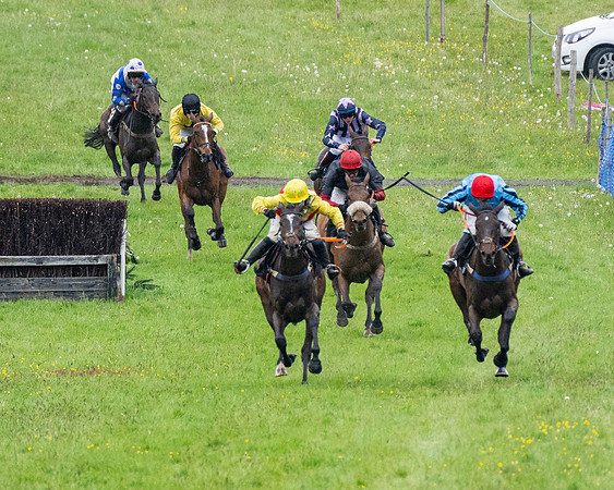 Race 8 - Bumper Div 2 (29 of 84)