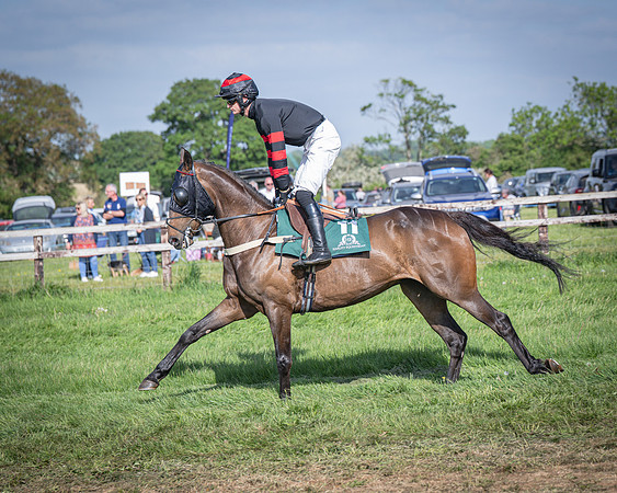 Race 6 - 2m5f Conditions (27 of 70)