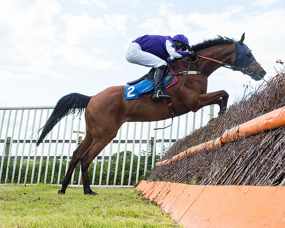 Race 5 - Restricted  (83 of 136)