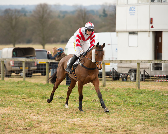Race 6 - Open Maiden (29 of 100).jpg