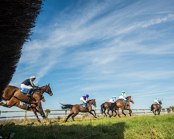 Race 3 - Ladies Open (55 of 156)