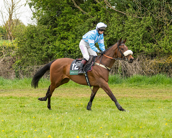 Race 7 - Open Maiden  (20 of 106)