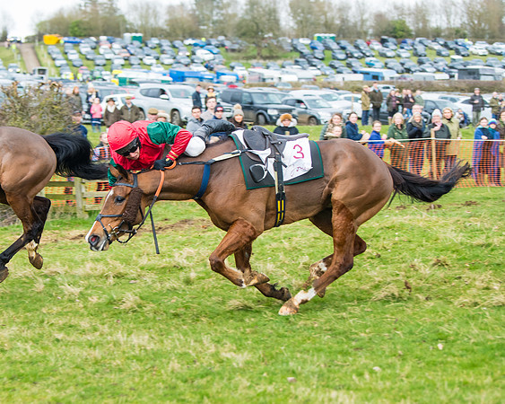 Race 1 - 4&5 Maiden (30 of 66)