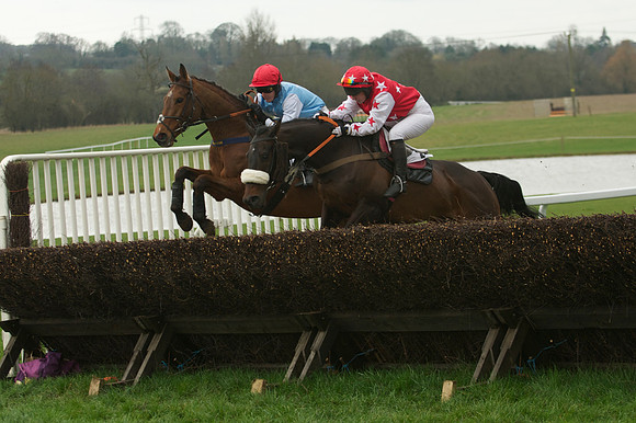 Race 5 - 20