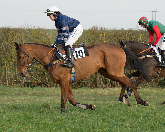 Race 6 - Open Maiden Race (12 of 99).jpg