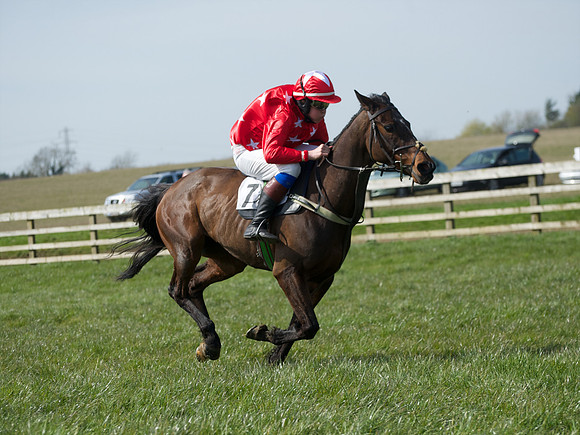 Pony Race 3 -  41