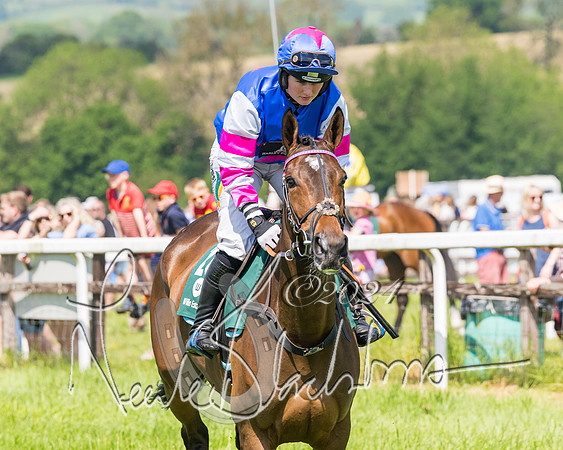 Race 2 - The Maiden  (51 of 442)