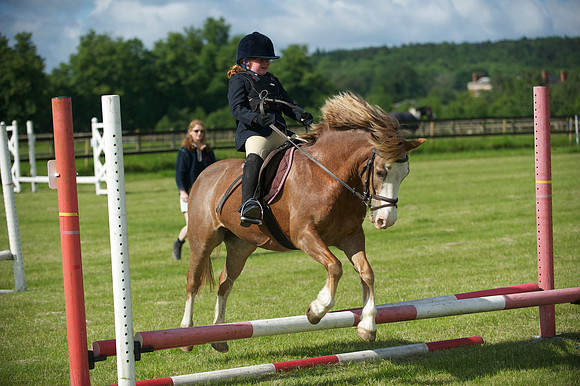 SOHS PC Summer Show at BCA 17th June 2012