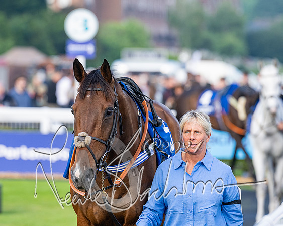 Race 4 - Stratford Foxhunters (18 of 145)