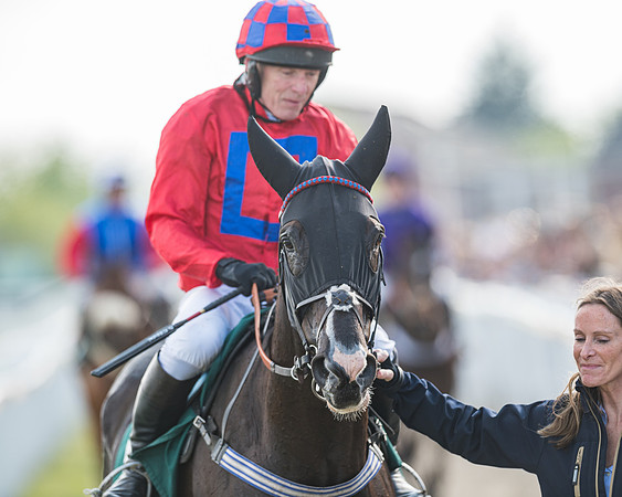 Race 1 - The open Hunter chase  (76 of 95)