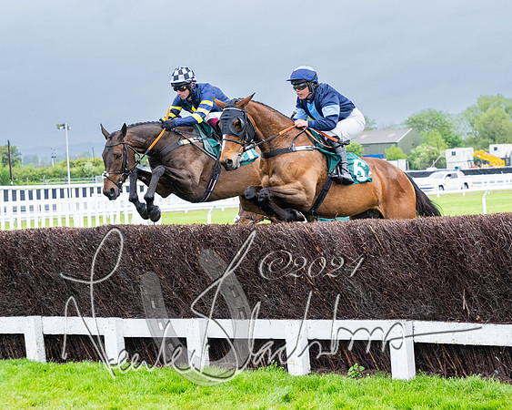 Race 5 - Mares Open  (30 of 129)